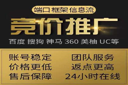 SEM推广实战：成功案例剖析